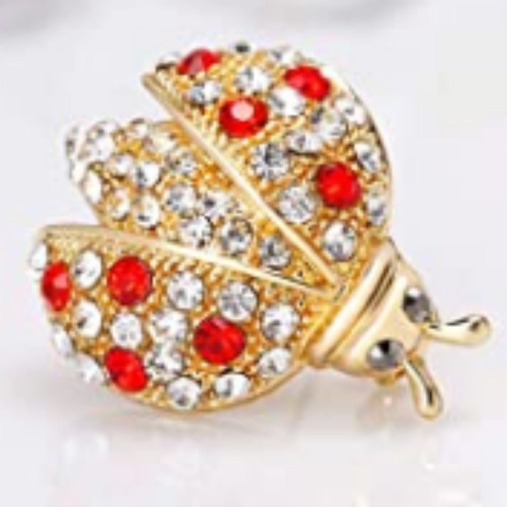 ✨ Lady bug pin